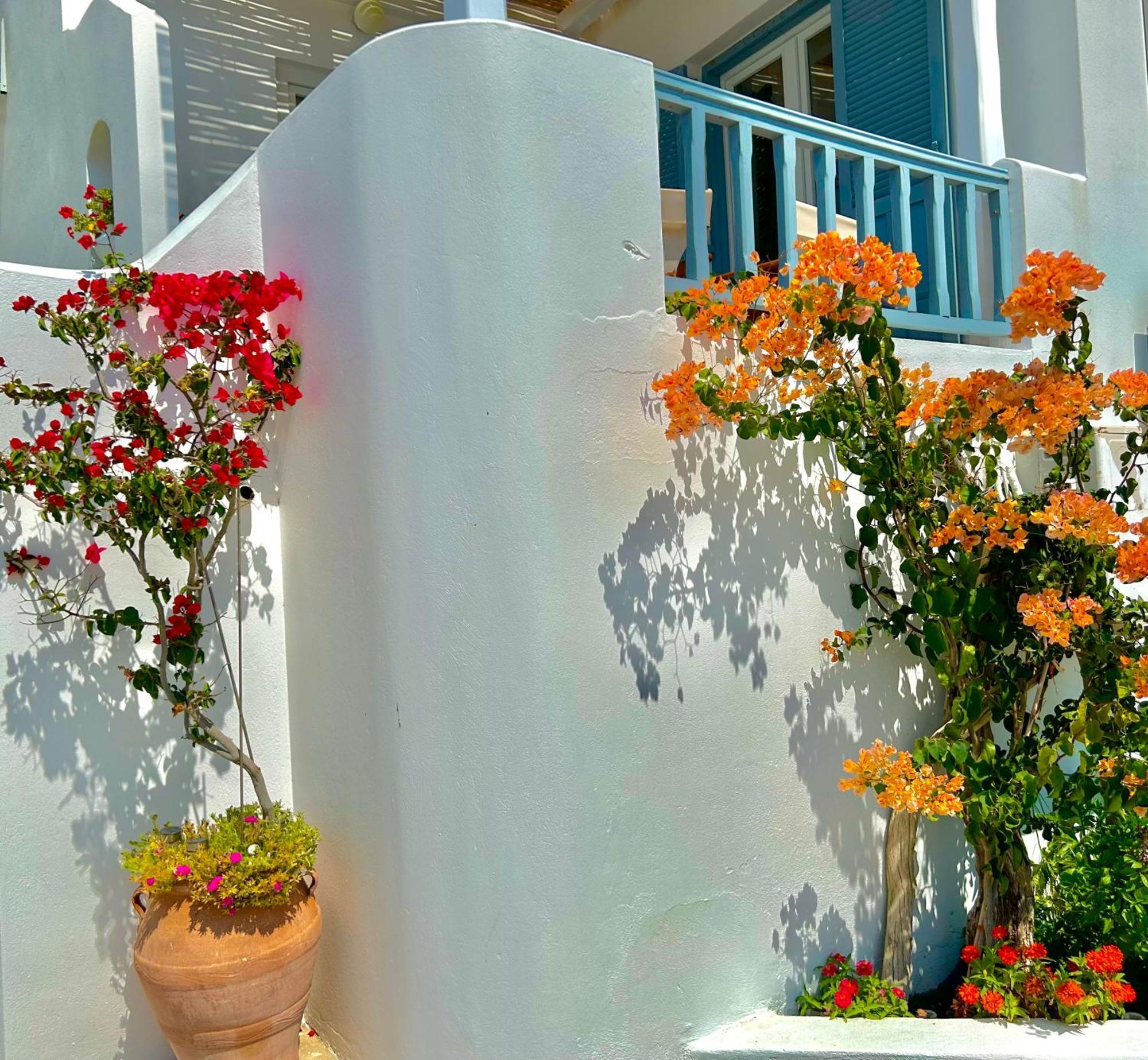 Anita Rooms & Suites Milos Adamantas  Exteriör bild